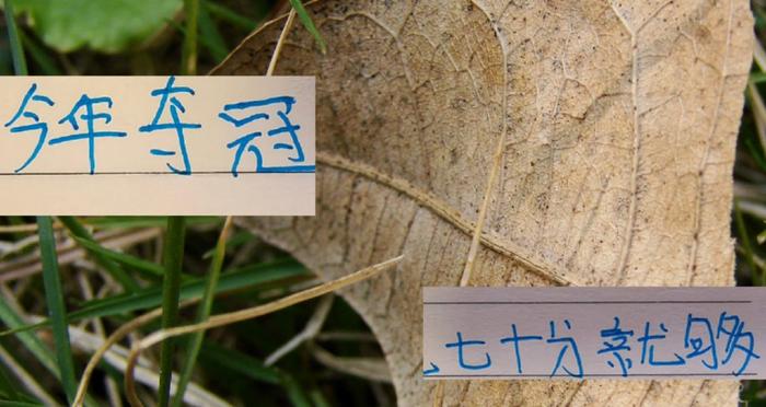 开云中国官网-心痛去年申花一下 ！今年中超冠军大概70分左右就可以 ！甚至更低